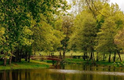 Tiny village de Sault - Foto 26