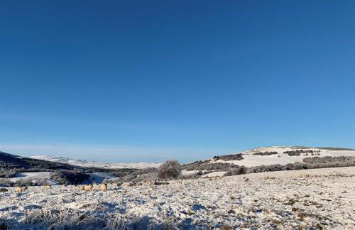 West Gorton - Foto 23