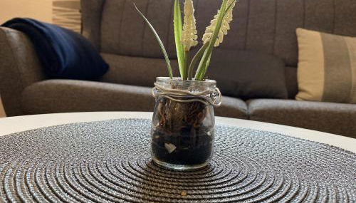 Ferienhaus Nordlicht - Foto 4