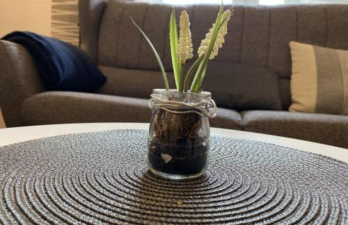 Ferienhaus Nordlicht - Foto 4