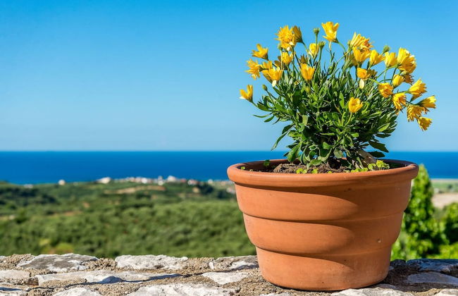 Chania Poolside Resort - Panoramic Seaview Lodging - Foto 25