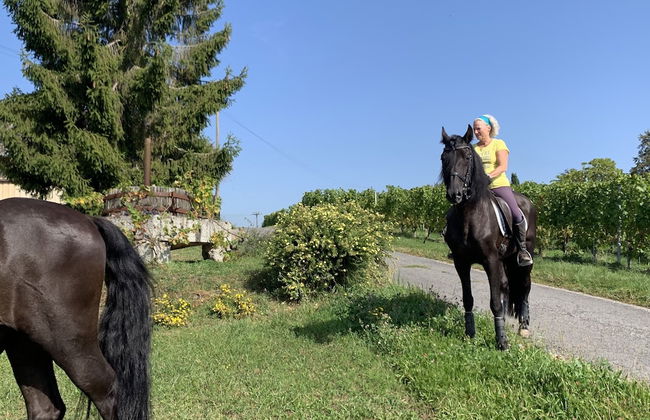 Stunning 6-bed Villa in Etoy - Foto 38