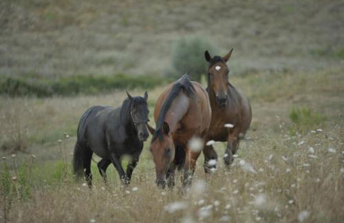 Agriturismo Renello - Foto 29