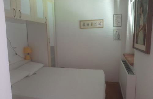 Fico d'india - Foto 19