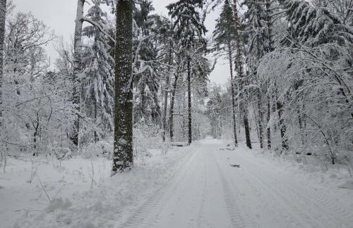 Żurawie gniazdo, elegancki zakątek w Puszczy Białowieskiej - Foto 33