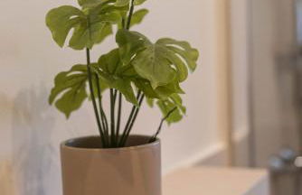 STAYLIGHT - Celle am französischem Garten - Photo 47