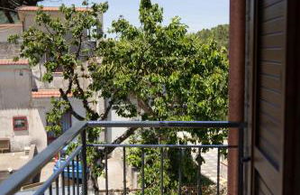 Tenuta Coppola - Foto 51