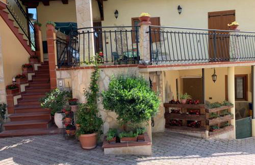 Le Ceppete - Foto 3