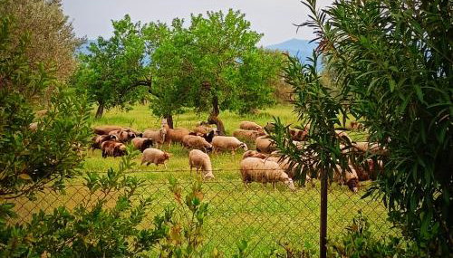 Farmhouse with pool minutes from beach - Foto 3