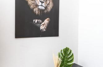 Heart of the Beach Praia 2m Real 5m B Flórida - Photo 21