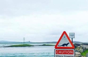 Traditional Croft house - Foto 14