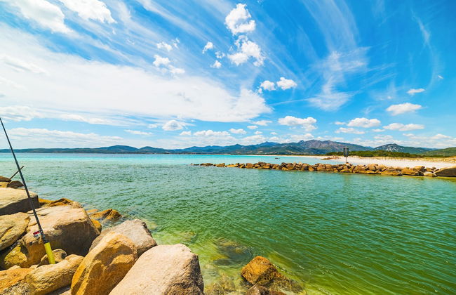 Villa Valentina 250m From The Beach - Happy Rentals - Photo 35