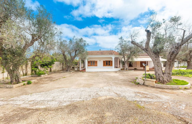 3345 DCB Trilocale by Barbarhouse - Photo 27