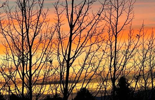 Abandoned Rail Cabin -19 miles to Breckenridge! Hot Tub! - Foto 7