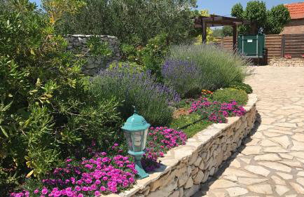 Rural house Mudrinic "Ivini dvori" - Foto 34