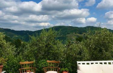 Monte A Pescia - Foto 52