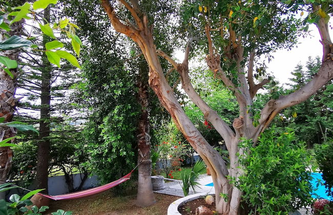 Villa Irene - Foto 49