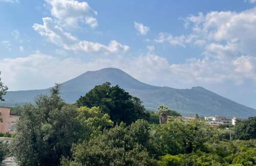 Vesuvius garden - Photo 40