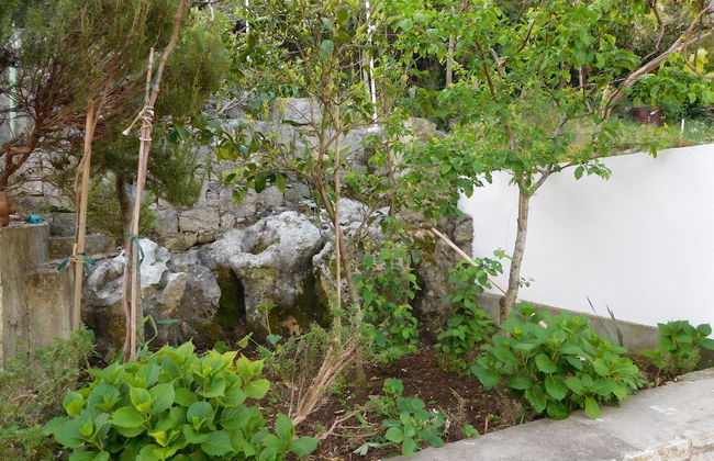 Apartments Ivancevic - Foto 58