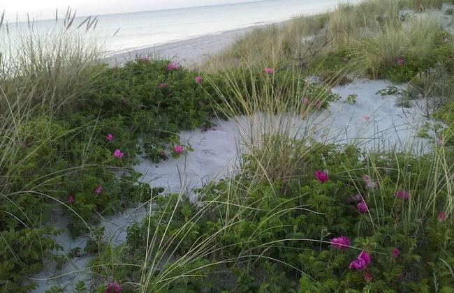 Cozy Retreat in Rorvig Haven-by Traum - Foto 26