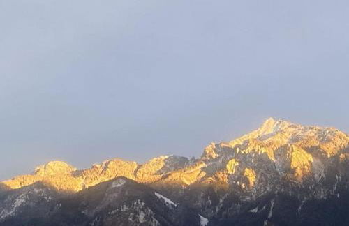 Villa Alpenblick Comfortable Holiday Residence - Photo 13