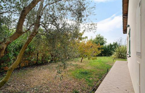 Appartamento Vallebona - Photo 19