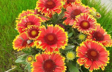 Ferienhaus Herbstzauber - Foto 23