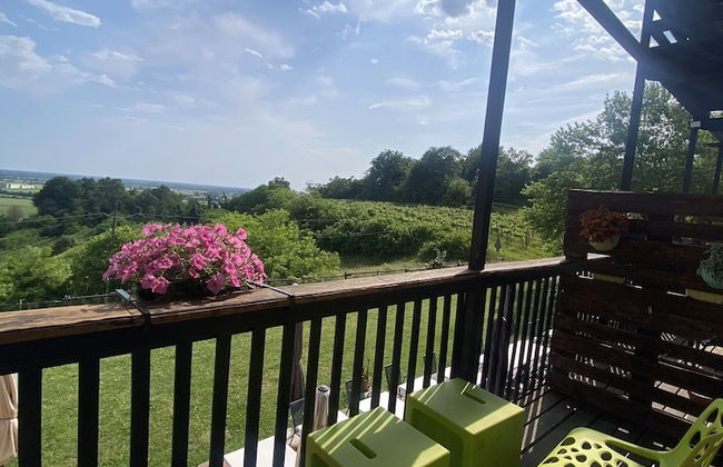 Agriturismo Scacciapensieri - Foto 14