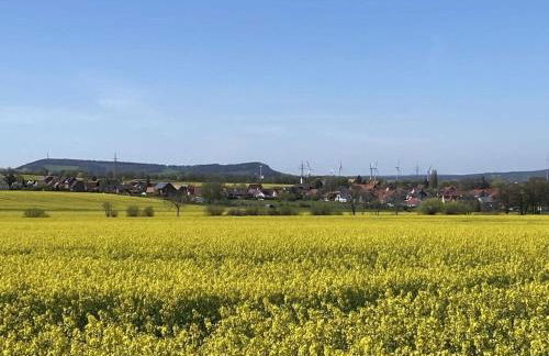 Summit Happiness at the Purple Beech - Foto 69