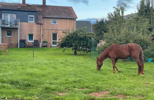 Urlaub auf dem Land - Foto 20