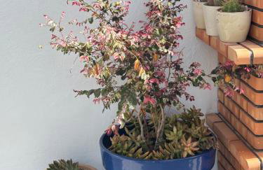 Casa Costa Bella - Foto 10