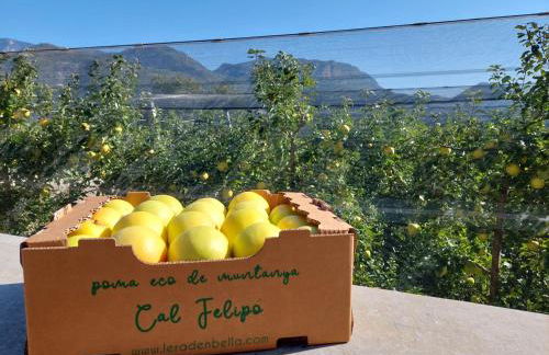 Casa Rural Rebost - Foto 43