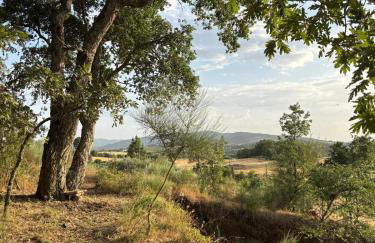 Casa Cabeço do Barragão - Photo 35