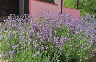 Agriturismo Campolungo - Foto 15