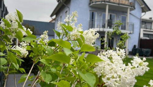 Zum schönen Ausblick - Foto 4