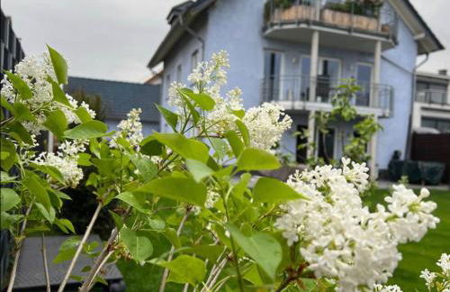 Zum schönen Ausblick - Foto 4