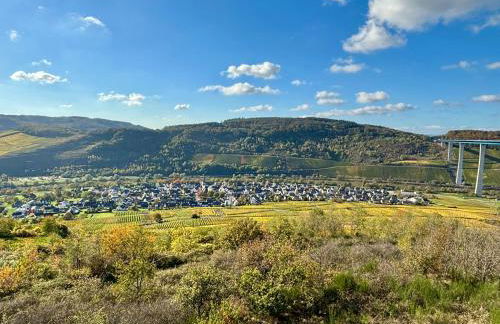 FEWO Klosterblick sowie Weinberge & Drachenflieger - Foto 11