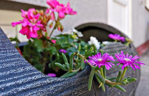 Apartment Slavonska Kuća - Foto 36