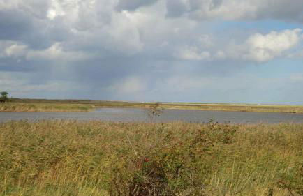 Apartment in Ribnitz-Damgarten 35179 - Foto 26