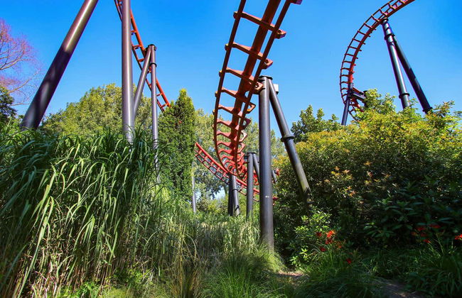 Billet pour le parc d'attractions Walibi - Foto 5