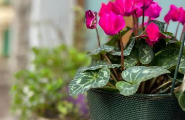 Unique Romantic Cave with air conditioner - Foto 33