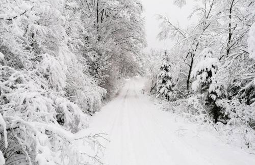 Willa Maja Bieszczady noclegi Bieszczady - Foto 53