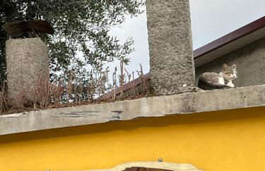 Villa BASTO - Foto 36