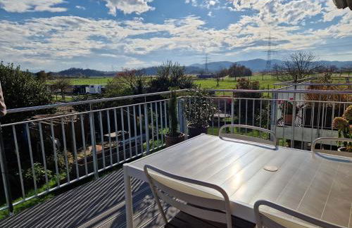 FeWo2 großräumige FeWo in Riegel am Kaiserstuhl über 2 Etagen, Galerie, Balkon - Foto 28