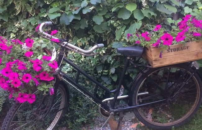 B&B L'Antico Torchio - Foto 75