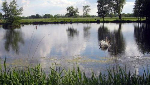Ferienhof Am Birkensee 55125 - Foto 5
