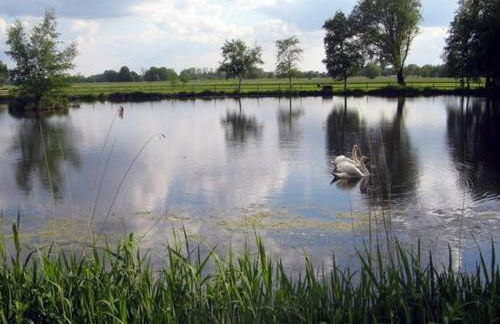 Ferienhof Am Birkensee 55125 - Foto 5