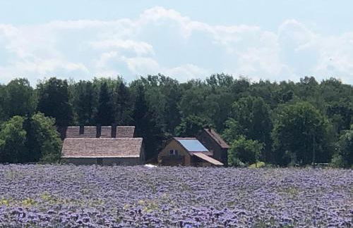 Ferienhof Olbasee - Foto 49