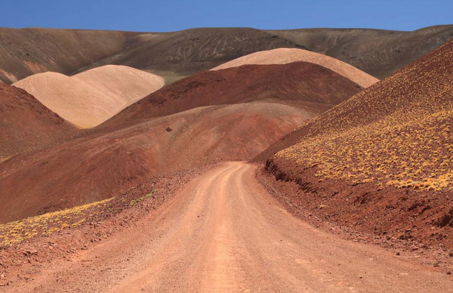 Vallée de la Lune, Talampaya et Laguna Brava en 2 jours - Photo 3