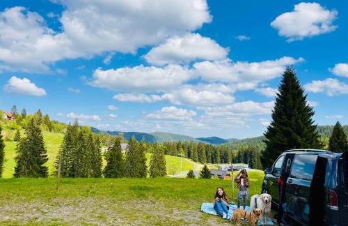 Mitten auf dem Feldberg Panorama Apartment Bergglück - Foto 14